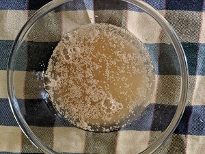 How to bloom the yeast