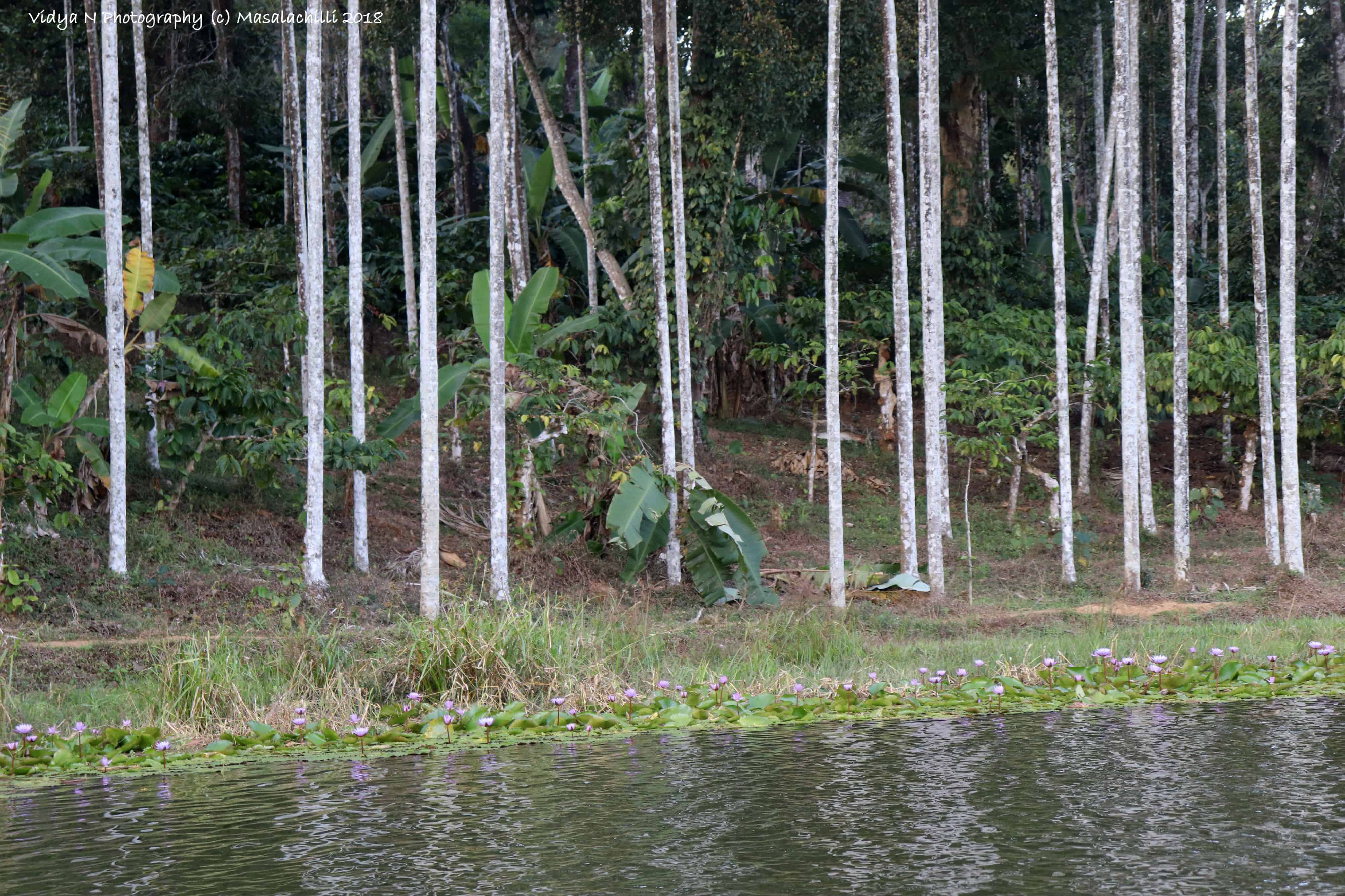 Karalad lake 2