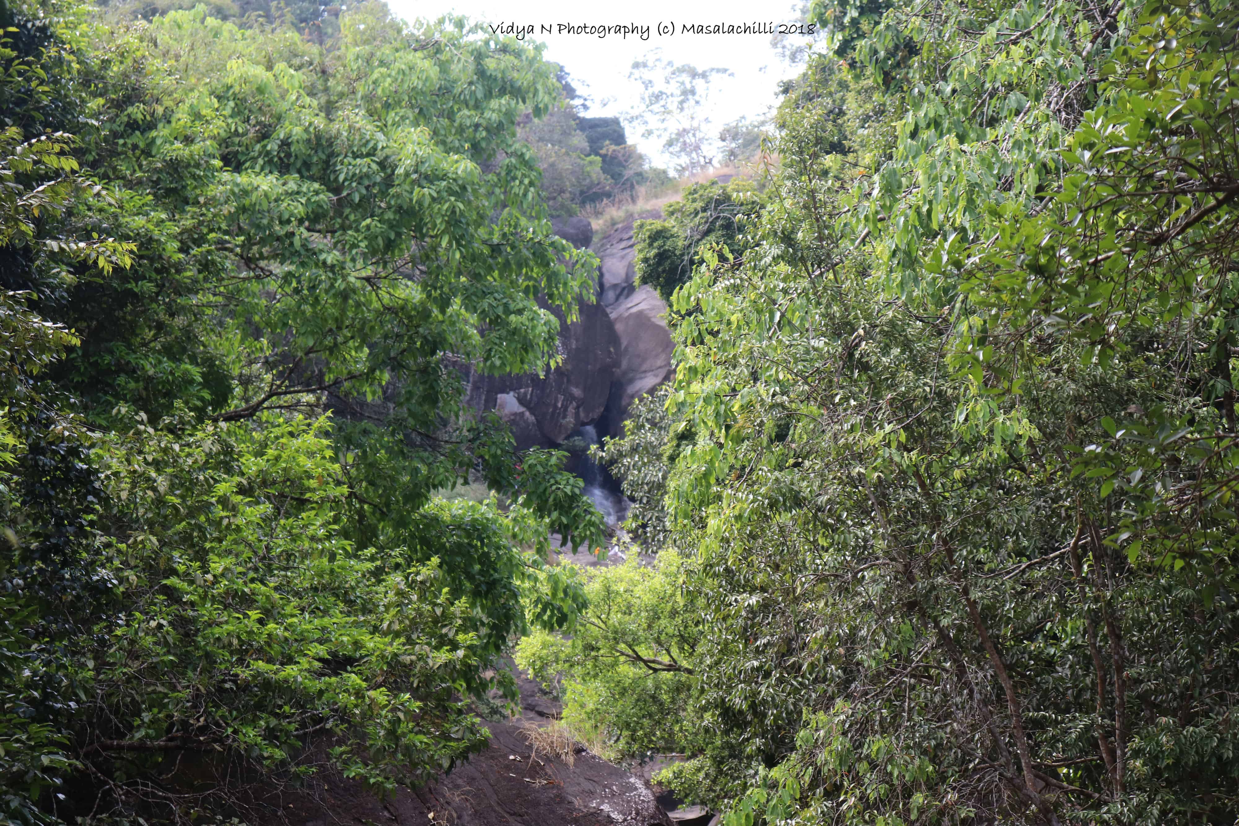 Meenmutty falls 1