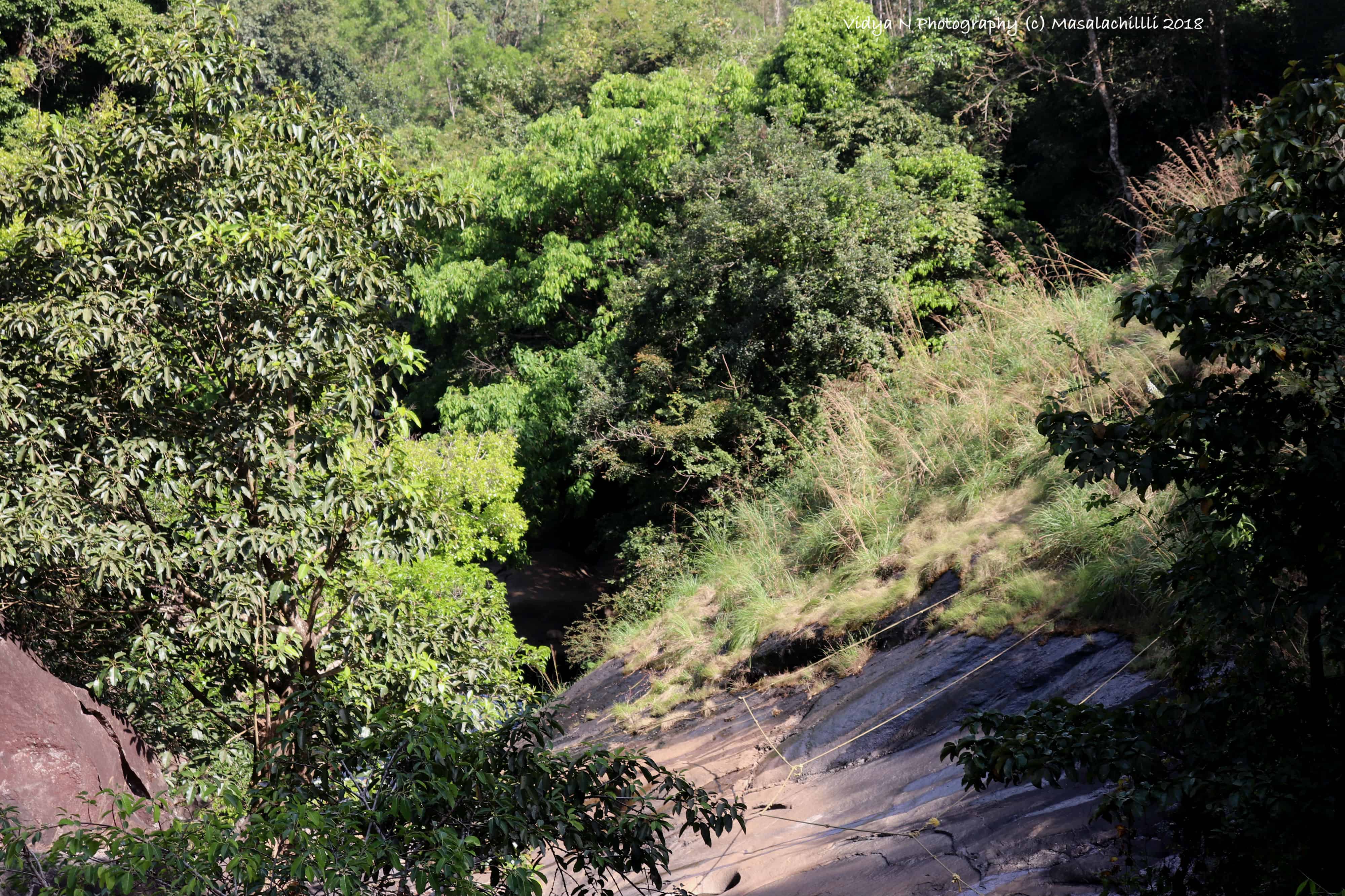 Meenmutty falls 4
