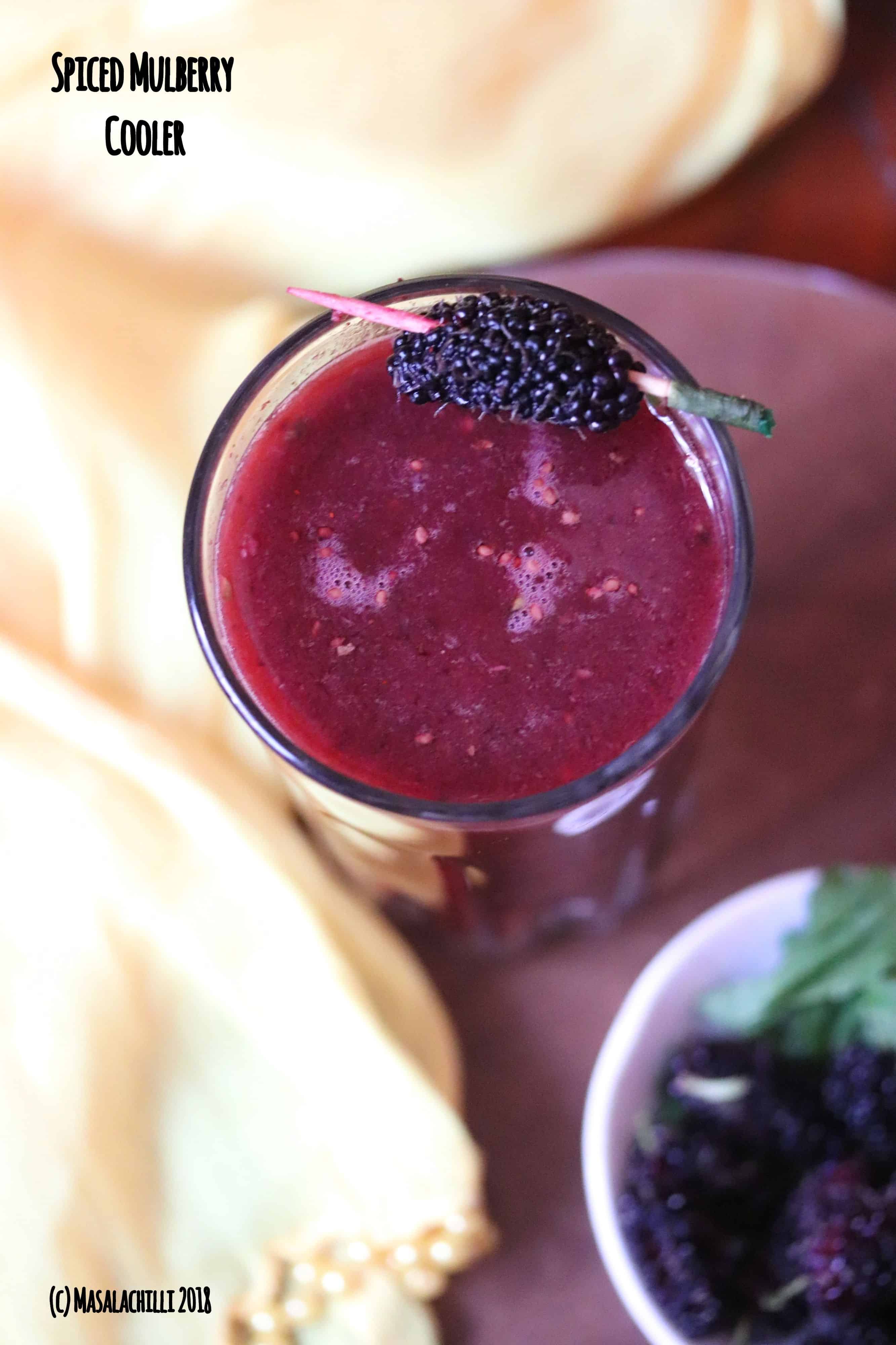 Spiced Mulberry Cooler 2.jpg