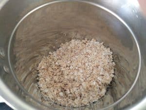 Soaked Samai Rice with Urad Dal and Oats