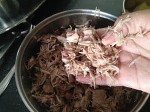 Shredded Jackfruit that resembles Meat, Mock Meat