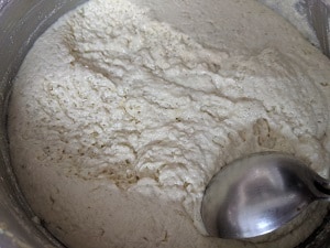 Fermented Proso Millet Idli Batter