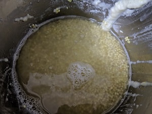 Proso Millet