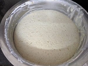 Fermented Idli batter with Proso Millet