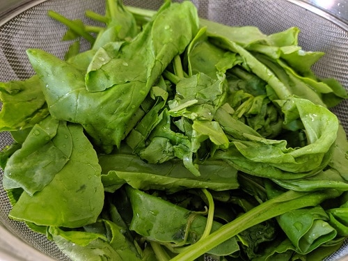 Washed and drained spinach leaves