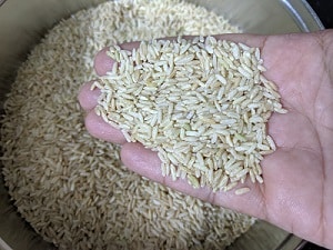 How to Cook Brown Rice in Pressure Cooker