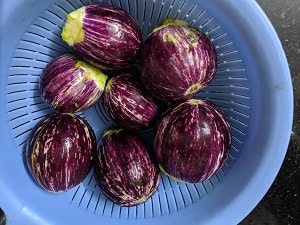 Brinjals