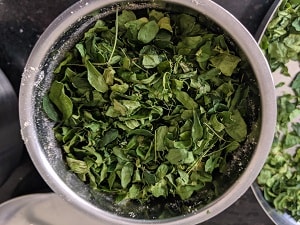 Sun dried moringa leaves
