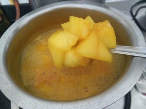 Cooked Poosanikai