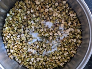 Sprouted Moong Beans with salt