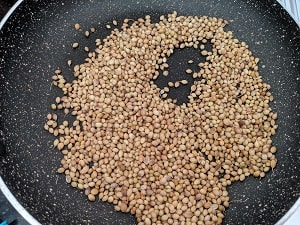 Coriander Seeds