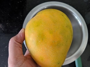 Ripe Mango for Mambazha Pulissery