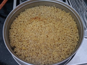 Cooked kodo millet and lentils