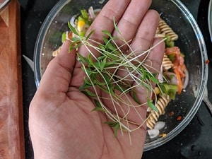 Adding microgreens to pasta salad