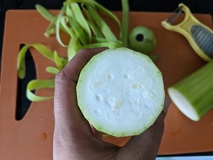 Small seeds of bottle gourd