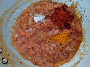 Turmeric, Red chilli powder and salt to taste with the onion tomato gravy