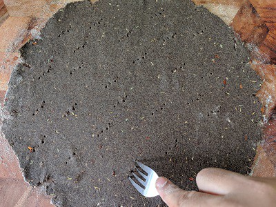 use a fork to prick the dough