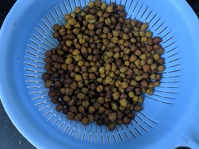 Cooked brown chickpeas drained