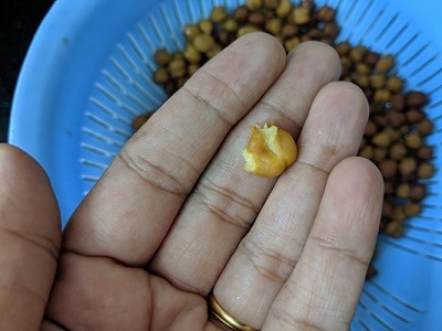 The cooked chickpeas should easily mash between your fingers