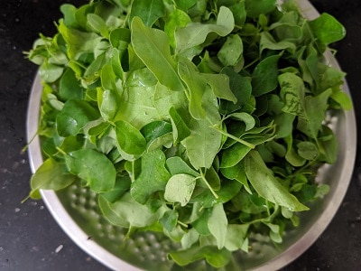 Clean, Wash and measure the drumstick leaves or murungai keerai