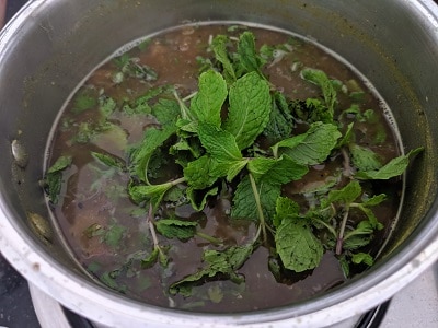 freshly torn mint leaves added to rasam