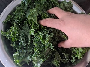 Massaging the kale with seasoning
