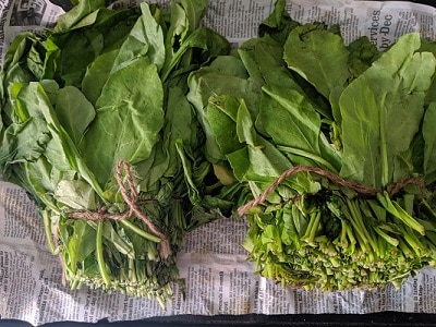 Spinach Leaves