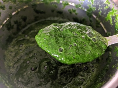 palak puree ready to use
