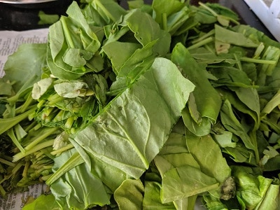 Spinach leaves