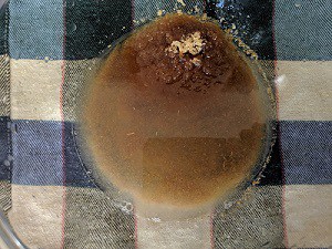Ingredients for shikanji - sugar, black salt and roasted cumin powder