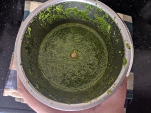 Ingredients for Masala Chaas with Sattu