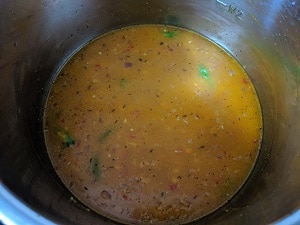 Adding water and salt in instant pot