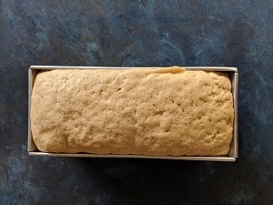 Easy Whole Wheat Bread Recipe