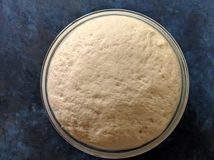 proved bread dough