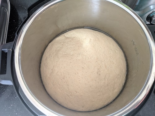 Dough proved in Instant Pot under 40 minutes