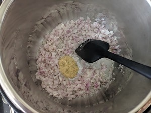 sautéing onions, ginger garlic paste in instant pot