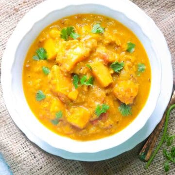 Butternut Squash red lentil curry served in a white bowl garnished with fresh coriander