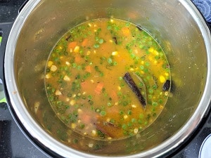 Water added to the instant pot for cooking masala khichdi