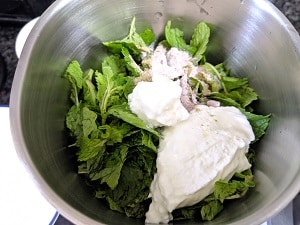 thick yogurt, mint leaves, spices added to the blender jar for making restaurant style mint sauce